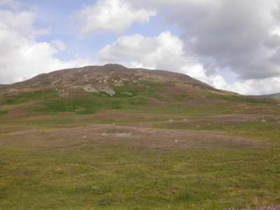 Hill where the trials were held.  All dogs were Border Collies (a breed develped in Scotland to herd sheep)