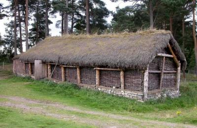 Thatched building