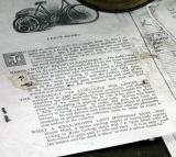 Read about the Lady Auto-wheelist