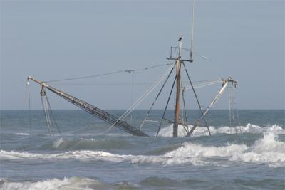 My Ship Came In