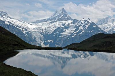 Schreckhorn mit Bachalpsee