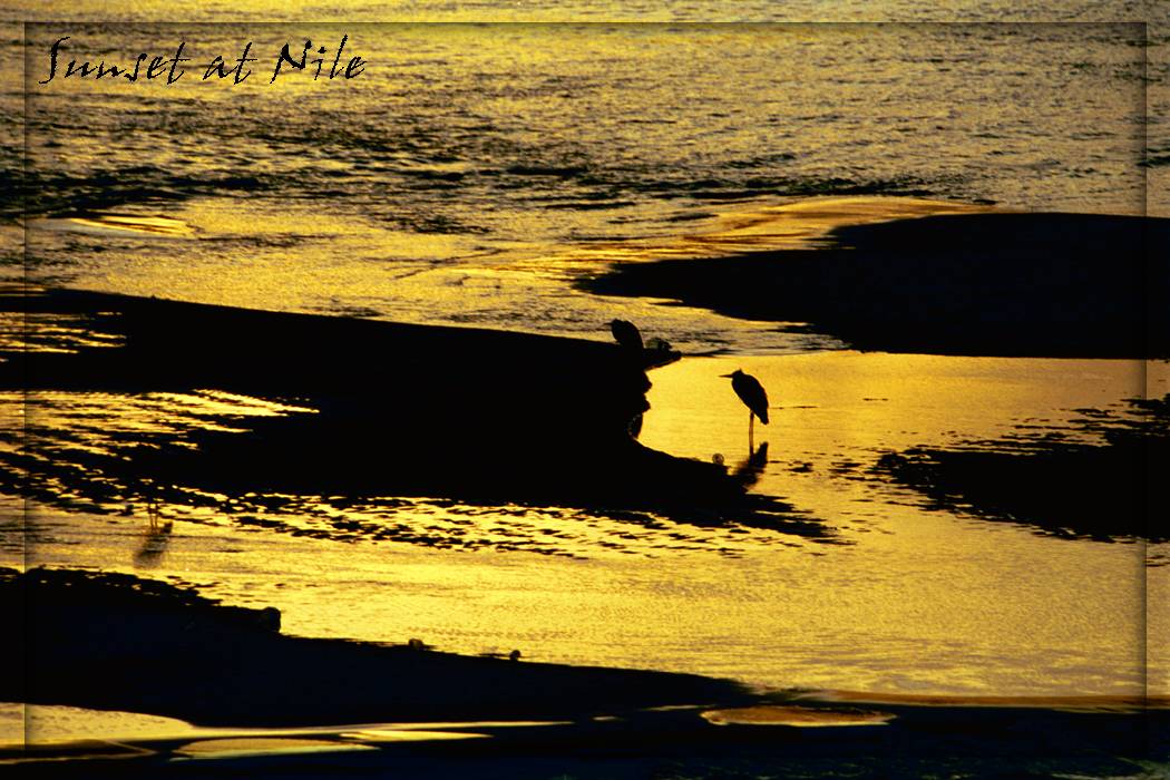 Sunset at Nile