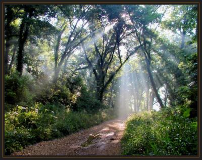 Arkansas, 2003