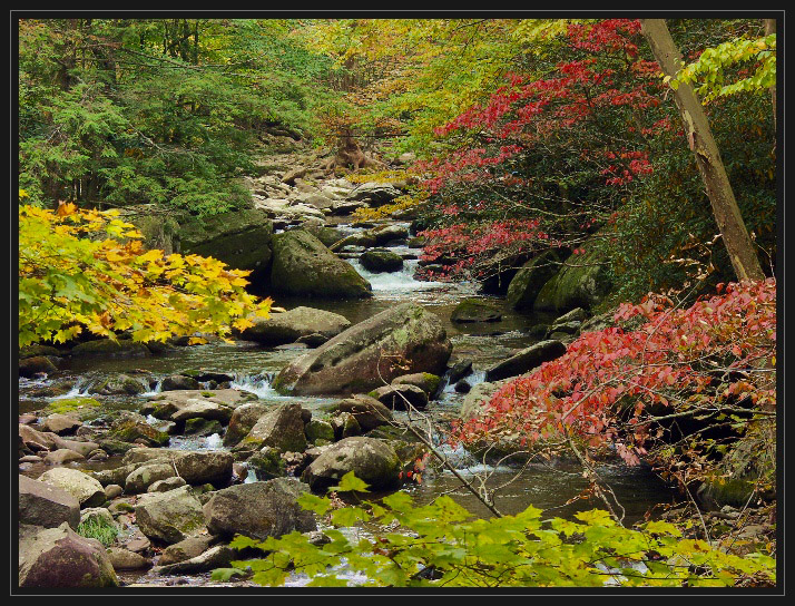 JPG 2 CSB Stream Tremont aPA092427.jpg