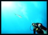 Susie with Yellowtail Snapper