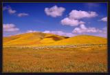 Antelope Valley