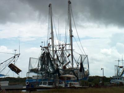 Shrimp Boats.JPG