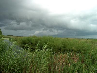 Storm over marsh.JPG