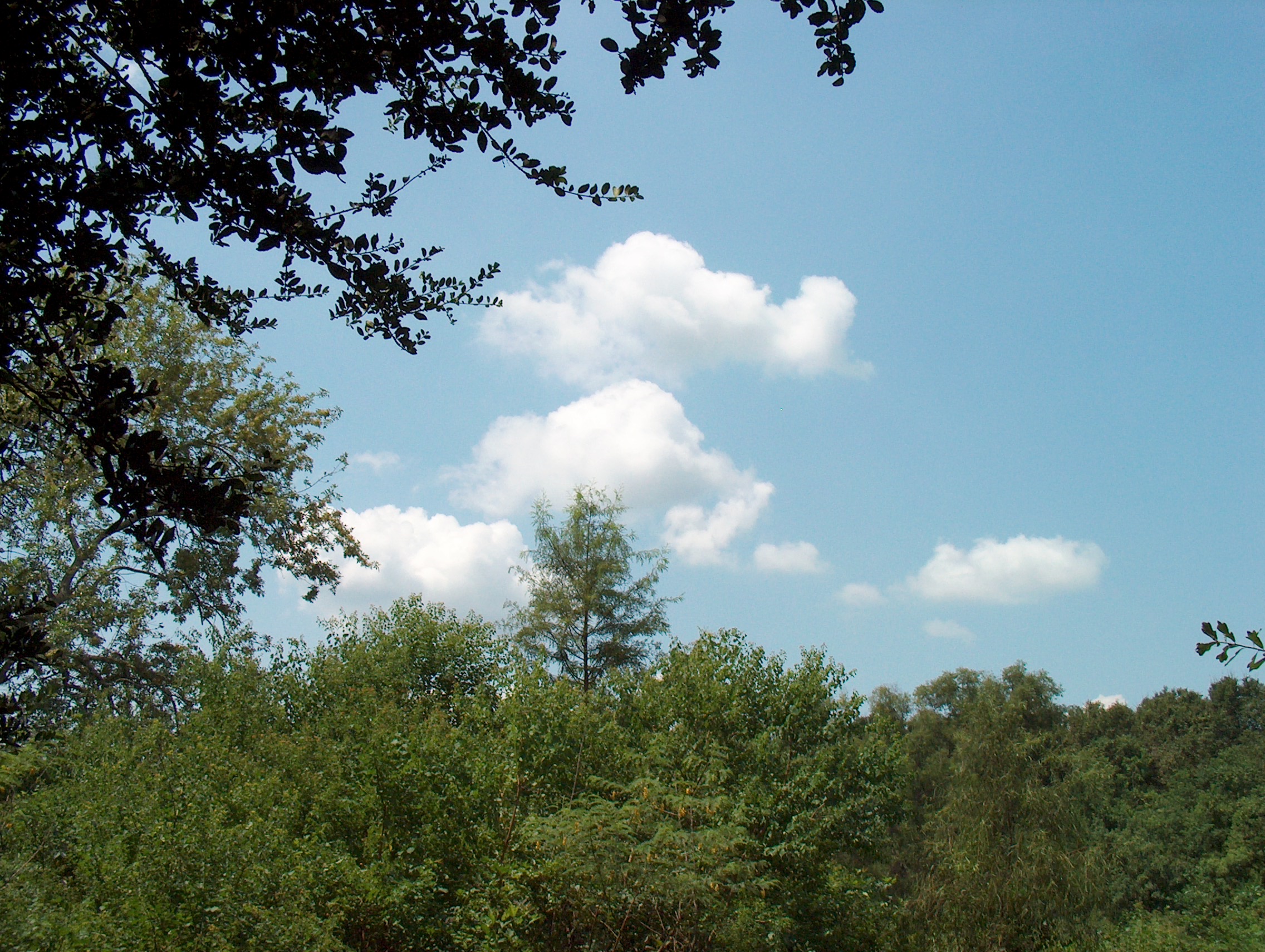 Clouds.JPG