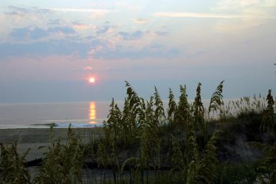 IMG_1075_sm.jpg