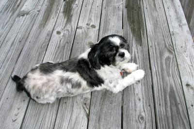 Nags Head - July 2004