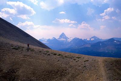 Mount Assiniboine from Windy Ridge