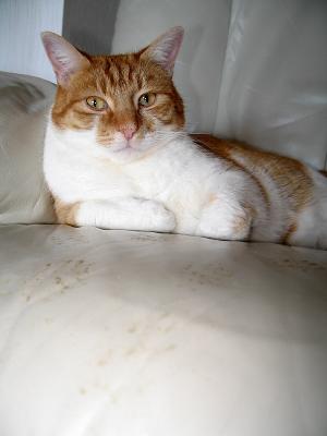 It wasn't me !