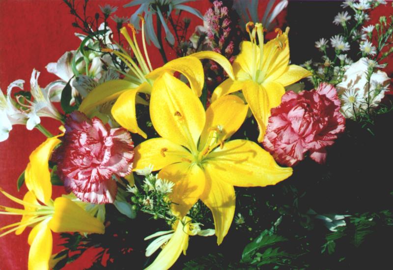 Golden Bloom