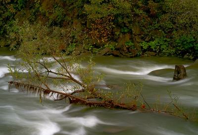 Img_2064.jpg