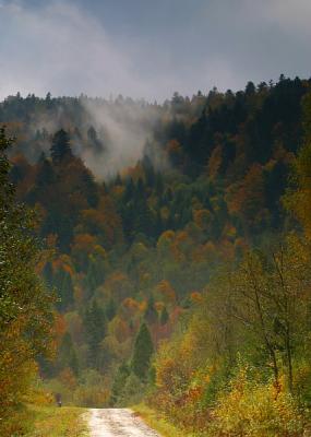 IMG_2296plfoto.jpg