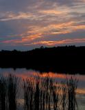 IMG_9081wcwi.jpg