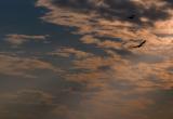 IMG_8678wcwi.jpg