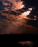 IMG_8630wcwi.jpg