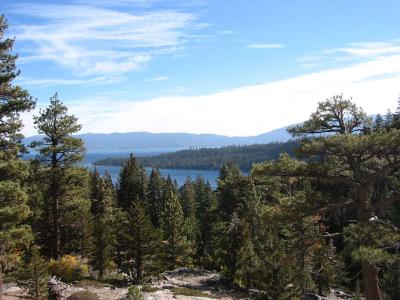 View.jpg