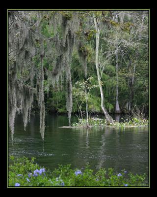 aIMG_0721.jpg