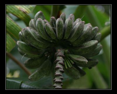 aIMG_0722.jpg