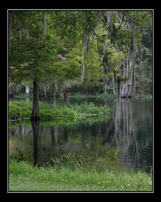 aIMG_0773.jpg