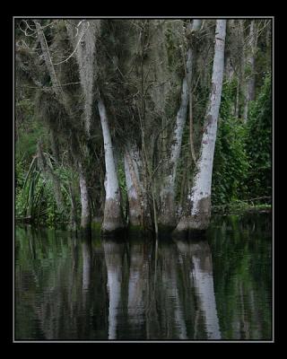 aIMG_0798.jpg