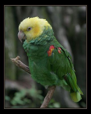 aIMG_0887.jpg