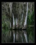 aIMG_0798.jpg