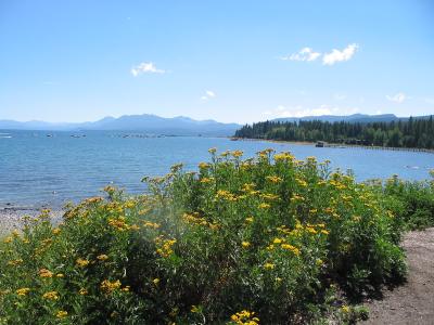 2003 In Tahoe City