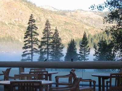 2003 Squaw Creek, early morning mist, 2 birds