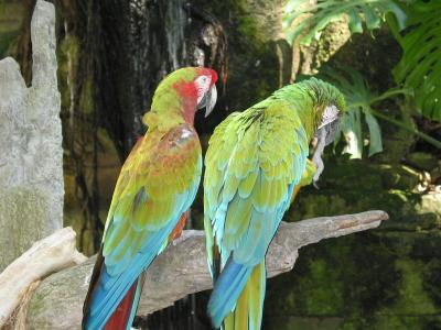 u32/screader/medium/41198152.IMG_6457.jpg