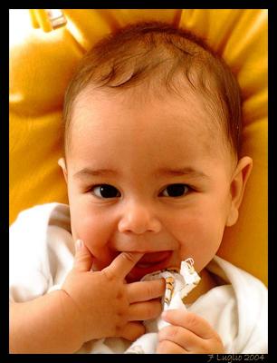 u32/sebi1/medium/31386840.DSCF0029bisrid.jpg