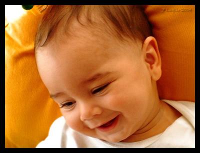 u32/sebi1/medium/31386842.DSCF0023bisrid.jpg