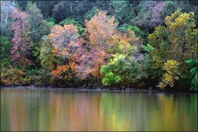 Seurat On The Cumberland