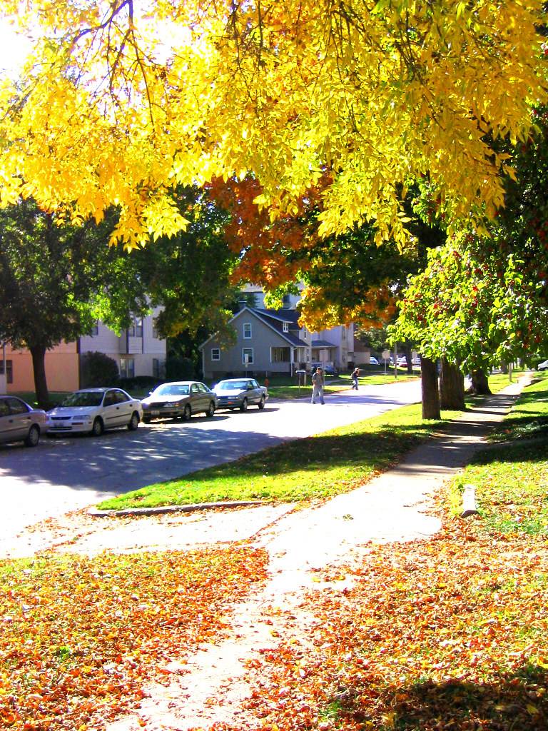 Stoughton