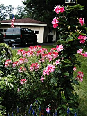 July 2004