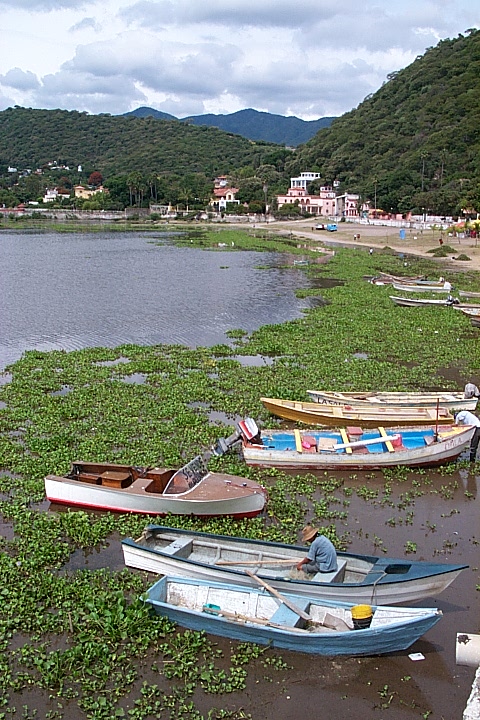 P0003818.JPG
