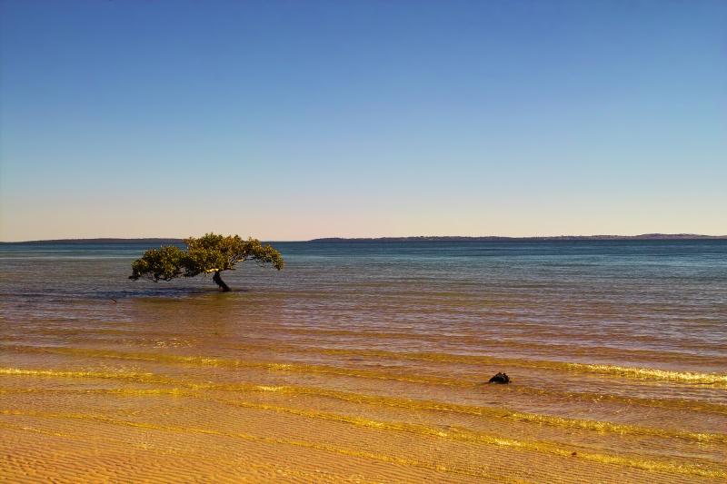 Fraser Island