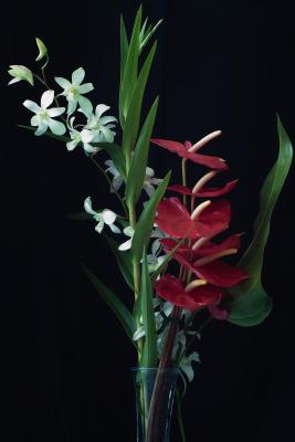 flowerarrangement.jpg