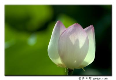 DSC_0168.jpg