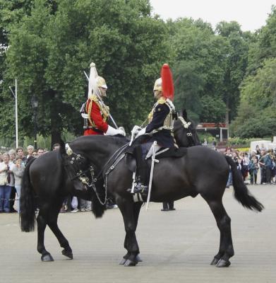 Guard commanders.