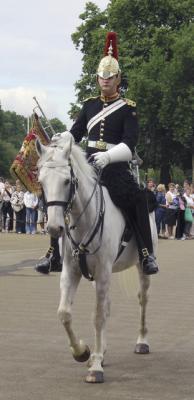 Horse Guard trumpeter