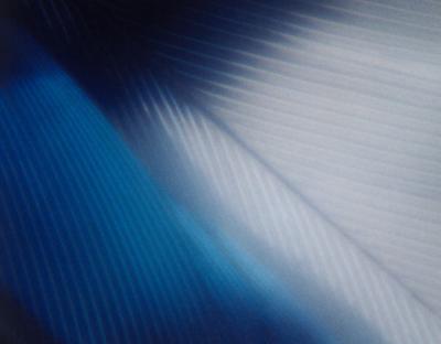 blues of a feather