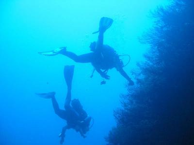 107_0749.jpg