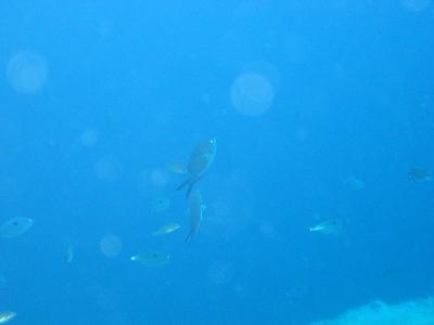 110_1014.jpg