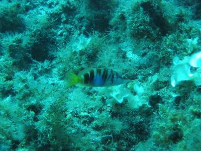 110_1027.jpg