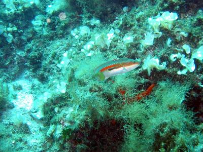 110_1029.jpg