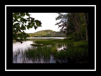 Lows Lake